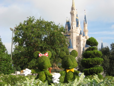 Disney World